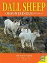 Rebecca Hirsch - Dall Sheep: A Mountainous Journey