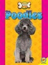 Faith Woodland - Poodles