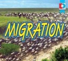 Coming Soon, John Willis, Jared Siemens - Migration