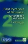 A V Bridgwater, A. V. Bridgwater - Fast Pyrolysis of Biomass