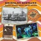 John Blaney - Brinsley Schwarz