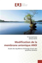 Hamr Béchir, Hamrouni Béchir, Hannach Chiraz, Hannachi Chiraz, Guesmi Essef Fatma, Guesmi Essefi Fatma - Modification de la membrane anionique AMX