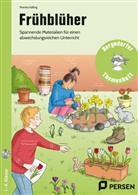 Martina Külling - Frühblüher, m. 1 CD-ROM