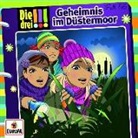 Ina Biber, Natascha Römer, Petra Steckelmann, Maja von Vogel, Henriette Wich - Geheimnis im Düstermoor (Audio book)