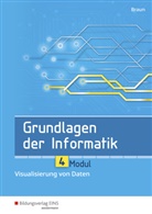 Wolfgang Braun, Wolfsgang Braun - Grundlagen der Informatik - Modul 4: Visualisierung von Daten