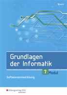 Wolfgang Braun, Wolfsgang Braun - Grundlagen der Informatik - Modul 7: Prozedurale und objektorientierte Programmierung