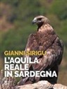 Gianni Sirigu - L'aquila reale in Sardegna