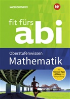Gotthar Jost, Gotthard Jost, Hartmut Seeger - Fit fürs Abi 2018 - Mathematik Oberstufenwissen