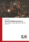 Tancredi Artico - Itinerari dell'epica barocca