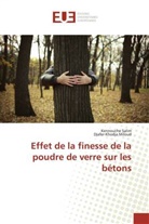 Djafer-Khodja Miloud, Kennouch Salim, Kennouche Salim - Effet de la finesse de la poudre de verre sur les bétons