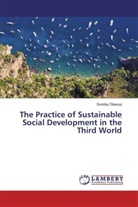 Sunday Olawuyi - The Practice of Sustainable Social Development in the Third World