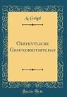 A. Geigel - Oeffentliche Gesundheitspflege (Classic Reprint)