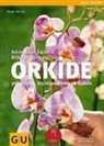 Frank Röllke - Orkide