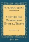 H. -L. Alphonse Blanchon - Culture des Champignons Et de la Truffe (Classic Reprint)