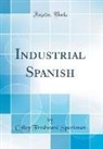 Colley Fredward Sparkman - Industrial Spanish (Classic Reprint)