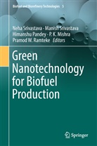 P. K. Mishra, P.K. Mishra, Himanshu Pandey, Himanshu Pandey et al, Pramod W. Ramteke, Manis Srivastava... - Green Nanotechnology for Biofuel Production