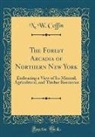 N. W. Coffin - The Forest Arcadia of Northern New York