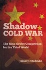 Dr. Jeremy Friedman, Jeremy Friedman - Shadow Cold War