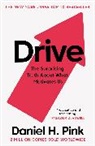 Daniel H. Pink, Pink Daniel H. - Drive