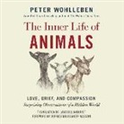 Peter Wohlleben - The Inner Life of Animals: Love, Grief, and Compassion: Surprising Observations of a Hidden World (Audio book)