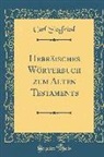 Carl Siegfried - Hebräisches Wörterbuch Zum Alten Testaments (Classic Reprint)