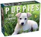 Andrews Mcmeel (COR), Andrews Mcmeel Publishing - Puppies 2019 Calendar