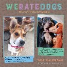 Matt Nelson - WeRateDogs 2019