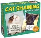 Pedro Andrade, Pedro Andrade - Cat Shaming 2019 Calendar