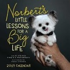 Virginia Freyermuth, Julie Steines, Julie Steines, Julie/ Freyermuth Steines, Virginia Freyermuth - Norbert's Little Lessons for a Big Life 2019 Calendar