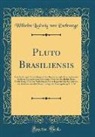 Wilhelm Ludwig Von Eschwege - Pluto Brasiliensis