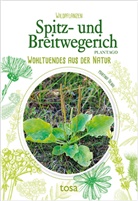 Martina Tolnai - Spitz- und Breitwegerich - Plantago