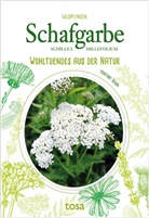 Martina Tolnai - Schafgarbe - Achillea Millefolium