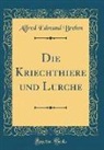 Alfred Edmund Brehm - Die Kriechthiere und Lurche (Classic Reprint)