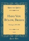 Hans von Bülow - Hans Von Bülow, Briefe, Vol. 6