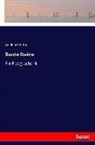 Adalbert Stifter - Bunte Steine