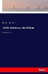 Friedrich Gerstäcker - Tahiti: Roman aus der Südsee