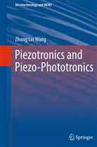 Zhong Lin Wang - Piezotronics and Piezo-Phototronics