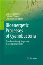 Christia Obinger, Christian Obinger, Guenter A. Peschek, Gernot Renger - Bioenergetic Processes of Cyanobacteria