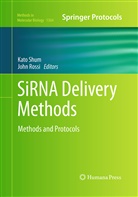 ROSSI, Rossi, John Rossi, Kat Shum, Kato Shum - SiRNA Delivery Methods