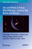 Elen Amato, Elena Amato, Jonathan Arons, Jonathan Arons et al, Andrei Bykov, Maurizio Falanga... - Jets and Winds in Pulsar Wind Nebulae, Gamma-Ray Bursts and Blazars