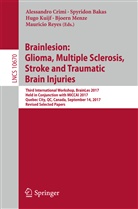 Spyrido Bakas, Spyridon Bakas, Alessandro Crimi, Hugo Kuijf, Hugo Kuijf et al, Bjoern Menze... - Brainlesion: Glioma, Multiple Sclerosis, Stroke and Traumatic Brain Injuries