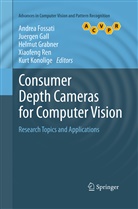 Andrea Fossati, Juerge Gall, Juergen Gall, Helmut Grabner, Helmut Grabner et al, Kurt Konolige... - Consumer Depth Cameras for Computer Vision
