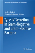 Steffe Backert, Steffen Backert, Grohmann, Grohmann, Elisabeth Grohmann - Type IV Secretion in Gram-Negative and Gram-Positive Bacteria