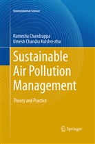 Umesh Chandra Kulshrestha, Ramesh Chandrappa, Ramesha Chandrappa - Sustainable Air Pollution Management