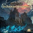 Das schwarze Auge, Audio-CD (Hörbuch)