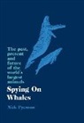 Nicholas Pyenson, Nick Pyenson - Spying on Whales