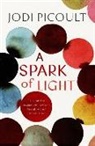 Jodi Picoult - A Spark of Light