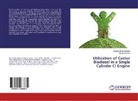 Mayank Mishra, Sarbjot Sing Sandhu, Sarbjot Singh Sandhu - Utilization of Castor Biodiesel in a Single Cylinder CI Engine