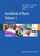 Marc G. Jeschke, Lars-Pete Kamolz, Lars-Peter Kamolz, Folke Sjöberg, Folke Sjöberg et al, Steven E. Wolf - Handbook of Burns Volume 1