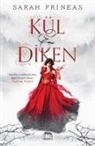 Sarah Prineas - Kül ve Diken